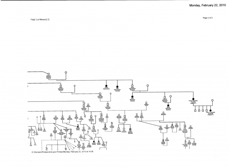 Файл:Protasovs' tree 002.jpg